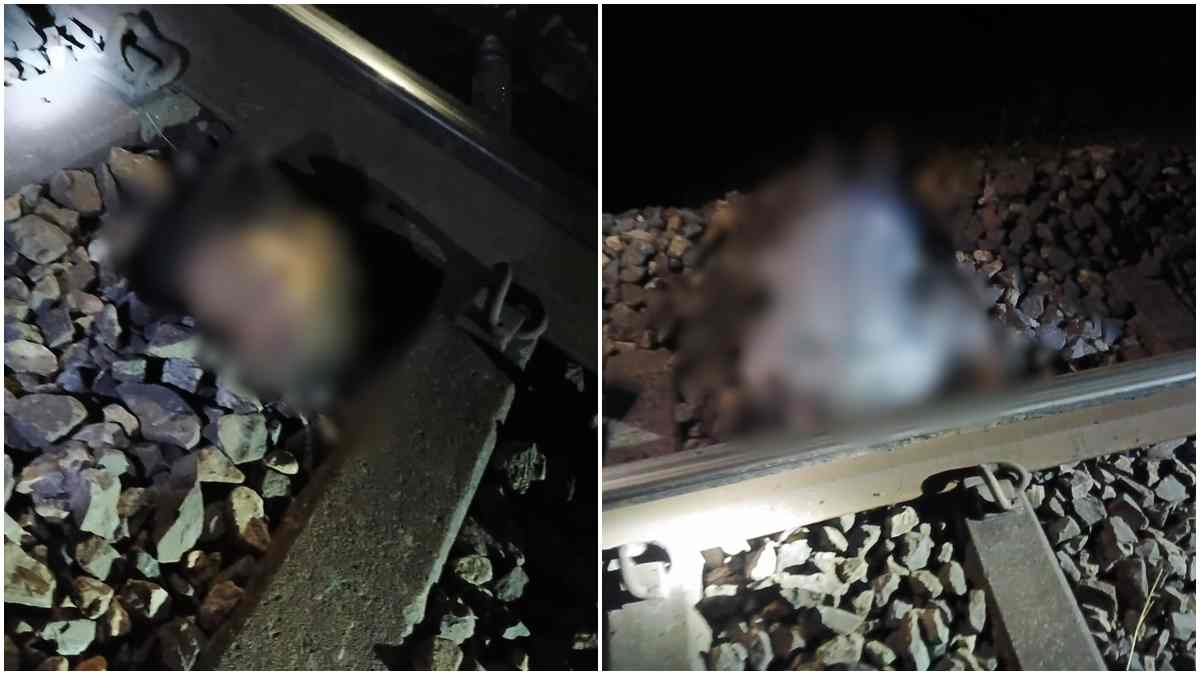 रेलवे ट्रैक पर युवक की लाश मिलने से सनसनी, धड़ से अलग था सिर, परिवार में मचा कोहराम  