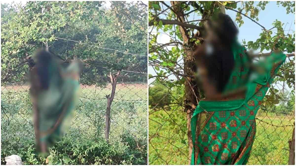 फांसी या साजिश? पेड़ से लटकी मिली बुजुर्ग महिला की लाश, पैर जमीन पर टिके, गांव में फैली सनसनी 