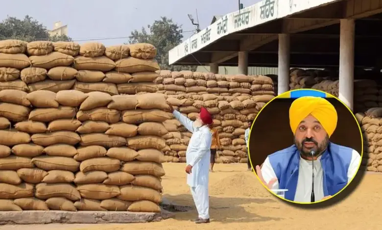 पंजाब में धान खरीद : 4.32 लाख से अधिक किसानों को MSP का लाभ, 95% खरीद पूरा, पटियाला जिला सबसे आगे