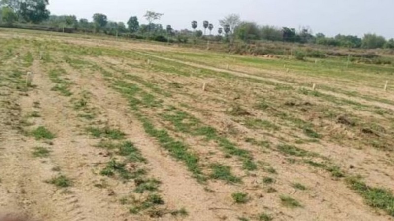 Rajasthan News: शहरी क्षेत्रों में कृषि भूमि की रजिस्ट्री हुई महंगी, सड़क चौड़ाई के आधार पर बढ़ेगा शुल्क