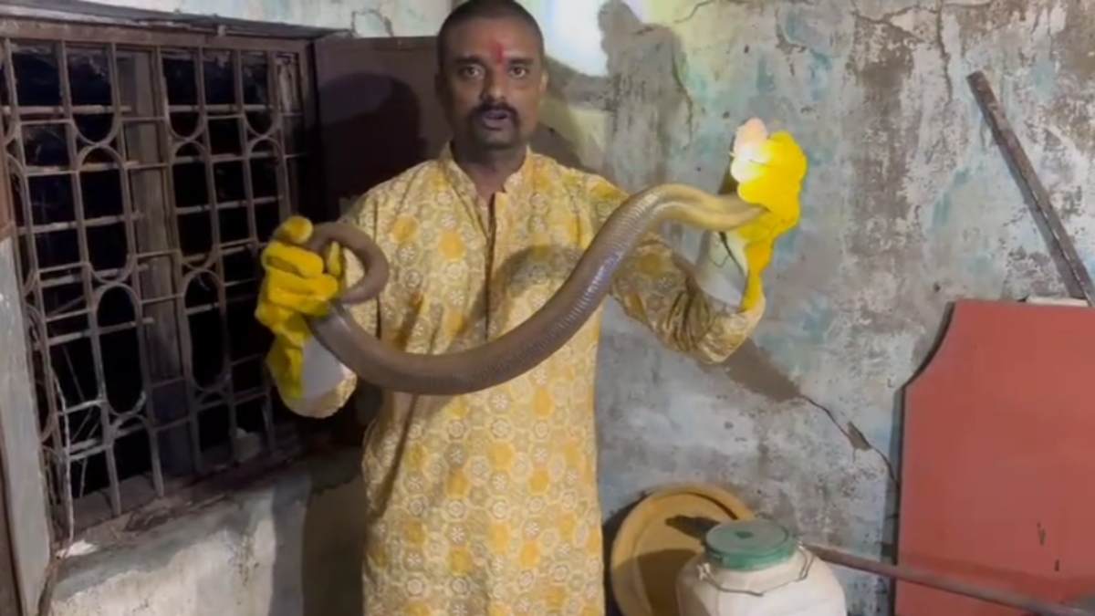 ब्यूटी पार्लर में निकला दो मुंहा सांप: इंटरनेशनल मार्केट में 25 करोड़ तक है कीमत, स्नेक केचर बोले- दीदियों को दर्शन देने पहले भी आ चुका है