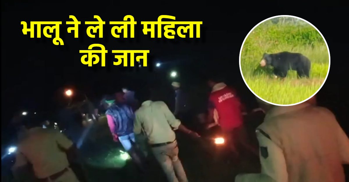 शहडोल में भालू के हमले से महिला की मौत: पंजों में दबाकर जंगल की तरफ ले गया, 2 घंटे तक शव के पास बैठा रहा