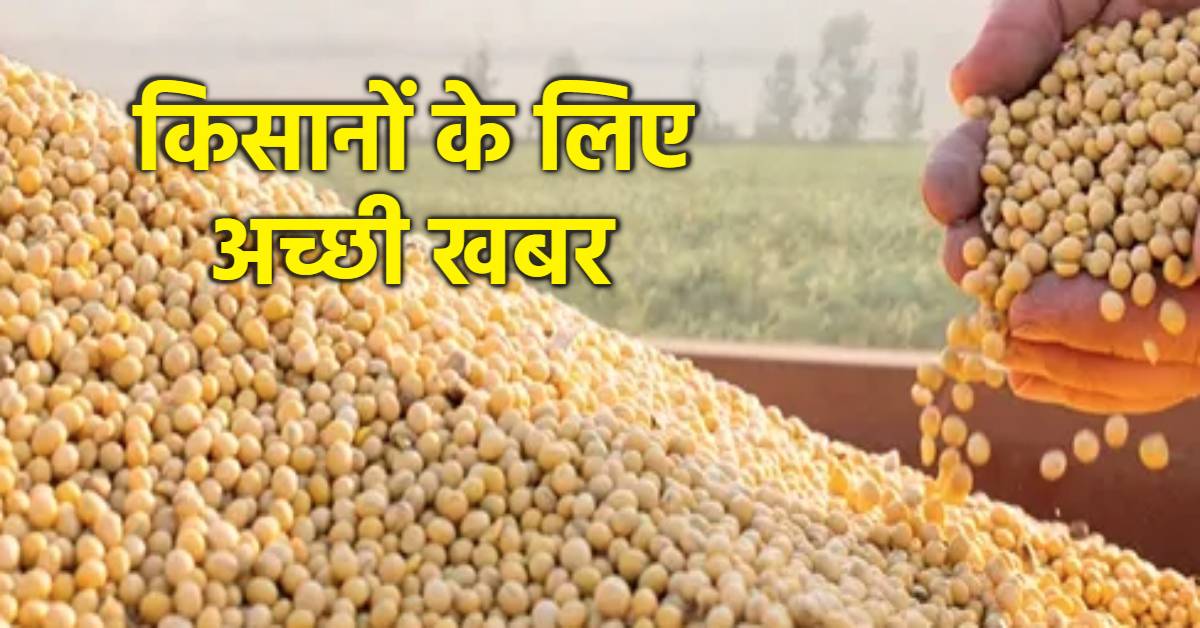 किसानों से जुड़ी बड़ी खबर: आज से शुरू होगी सोयाबीन की खरीदी, फसल बिक्री के 15 दिन के अंदर बैंक खाते में आएगी राशि