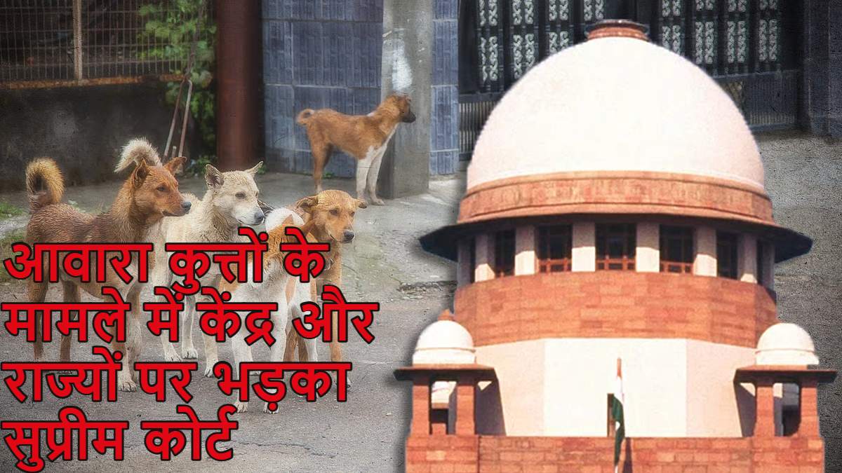 आवारा कुत्तों के काटने की घटनाओं पर बुरी तरह भड़का सुप्रीम कोर्ट; हलफनामा दायर नहीं करने पर केंद्र और सभी राज्यों को लगाई फटकार, कहा- विदेशों में देश की छवि हो रही खराब