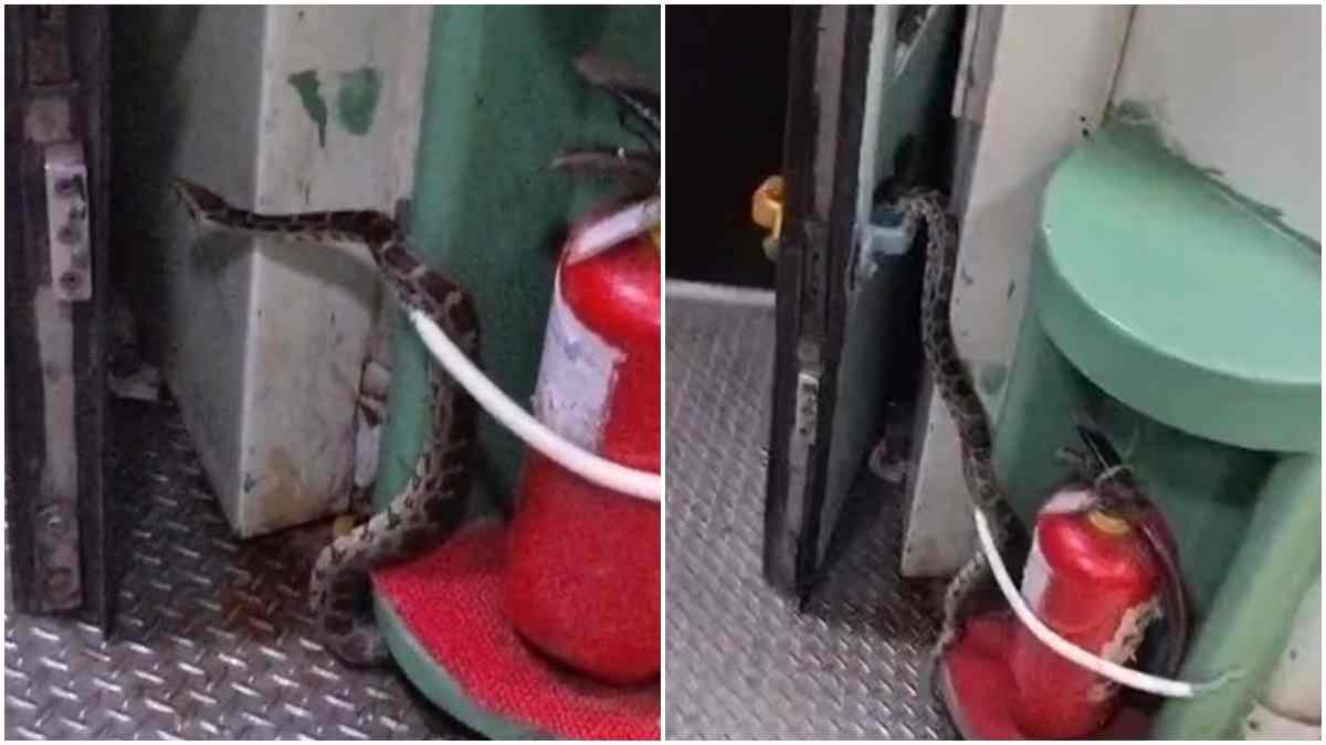 हावड़ा मेल के स्लीपर कोच में मिला 10 फीट लंबा अजगर, यात्रियों में मचा हड़कंप, Video वायरल 