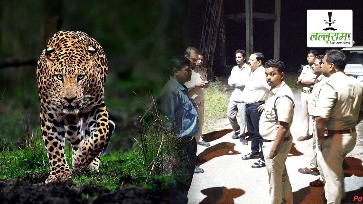 पावर प्लांट में दिखा तेंदुआ! कर्मचारियों में दहशत, वन विभाग ने आसपास के गांवों में जारी किया अलर्ट