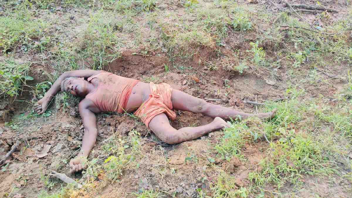 CG NEWS: खेत पर रखवाली कर रहे बुजुर्ग को हाथी ने कुचला, मौके पर हुई मौत