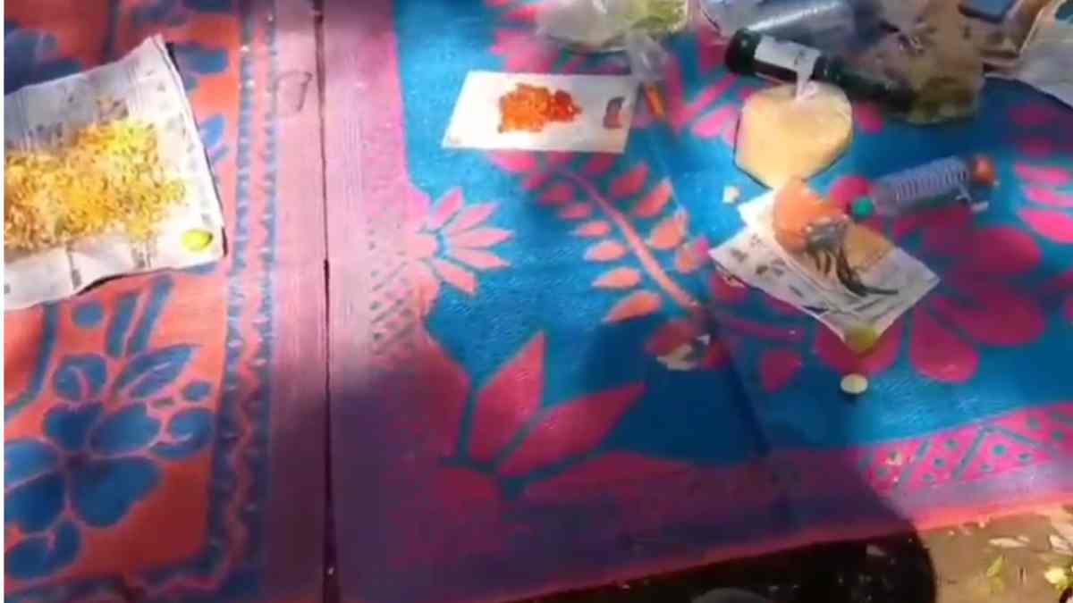 बाघ बफर जोन में शराब पार्टी: सोशल मीडिया पर वीडियो वायरल, पर्यावरणविद् ने की शिकायत 
