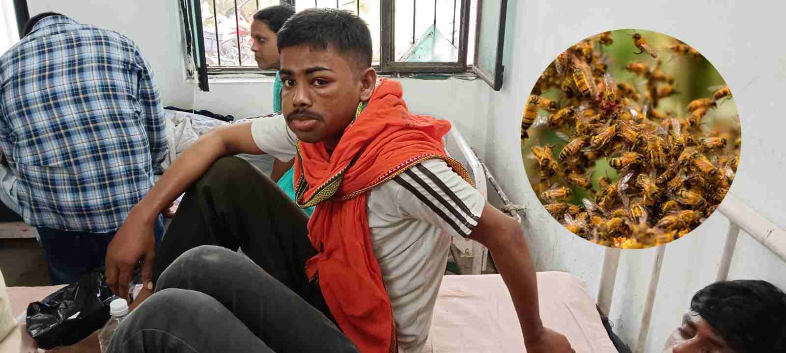 DJ की तेज आवाज से भड़कीं मधुमक्खियां: श्रद्धालुओं पर किया हमला, 35 लोग हुए घायल