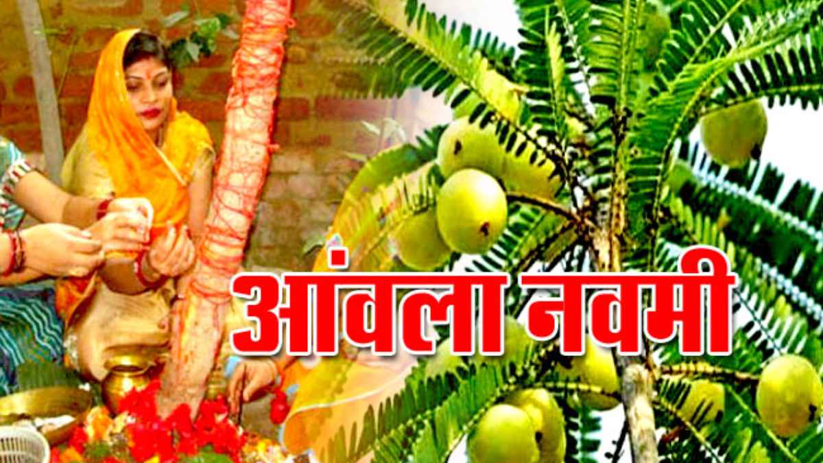 कब है आंवला नवमी? अक्षय पुण्य और समृद्धि पाने का दुर्लभ संयोग, जानें पूजा का महत्व