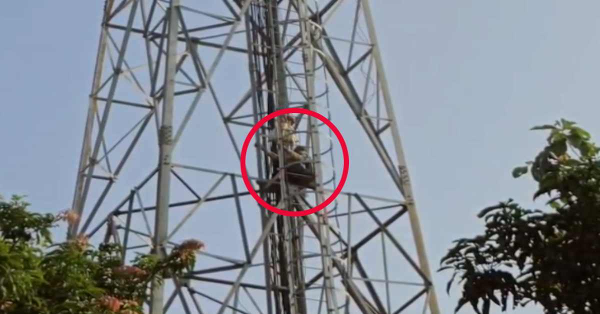 UP में ‘बहरी’ सरकार, ‘अंधा’ सिस्टम! न्याय के लिए 2 दिन से मोबाइल टावर पर चढ़ा बुजुर्ग, 6 बार CM दरबार में  अर्जी लगाने पर भी सुनवाई नहीं, क्या यही है सुशासन ?