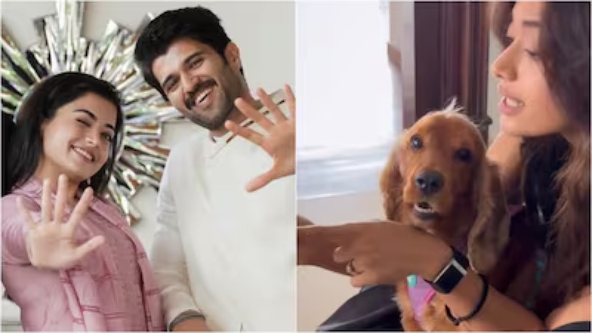 सगाई की रिंग फ्लॉन्ट करती नजर आईं Rashmika Mandanna, शेयर किया वीडियो …