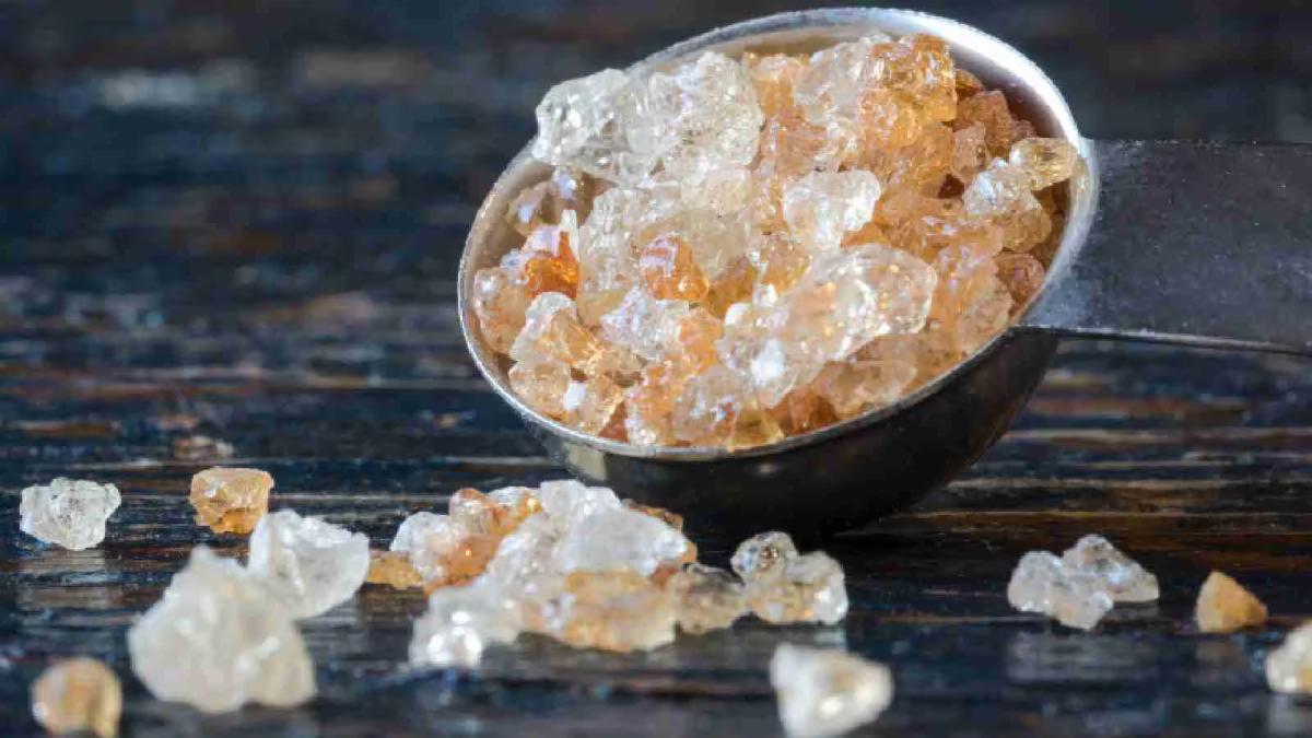 ठंड में बढ़ जाता है घुटनों का दर्द? करें गोंद का सेवन, जानें इसके फायदे