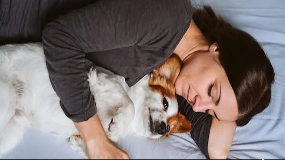 अगर आपको भी है Pets को अपने साथ सुलाने की आदत, तो अभी बदलें नहीं तो होंगे ये नुकसान …