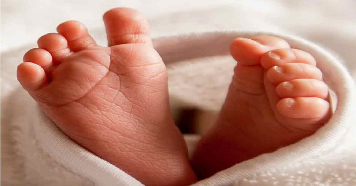 हरिद्वार में अपहरण और मेरठ में सौदा… पुलिस ने अंतरराज्यीय बच्चा चोर गिरोह का किया भंडाफोड़, तीन आरोपी अरेस्ट