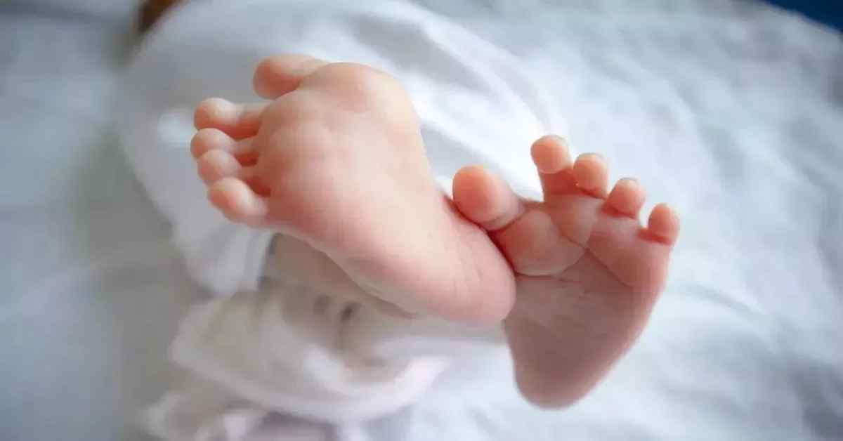 हैवानियत के पंजे तले मासूमियत… 12वीं के छात्र ने कर दी 18 महीने के मासूम की हत्या, संदूक से शव बरामद