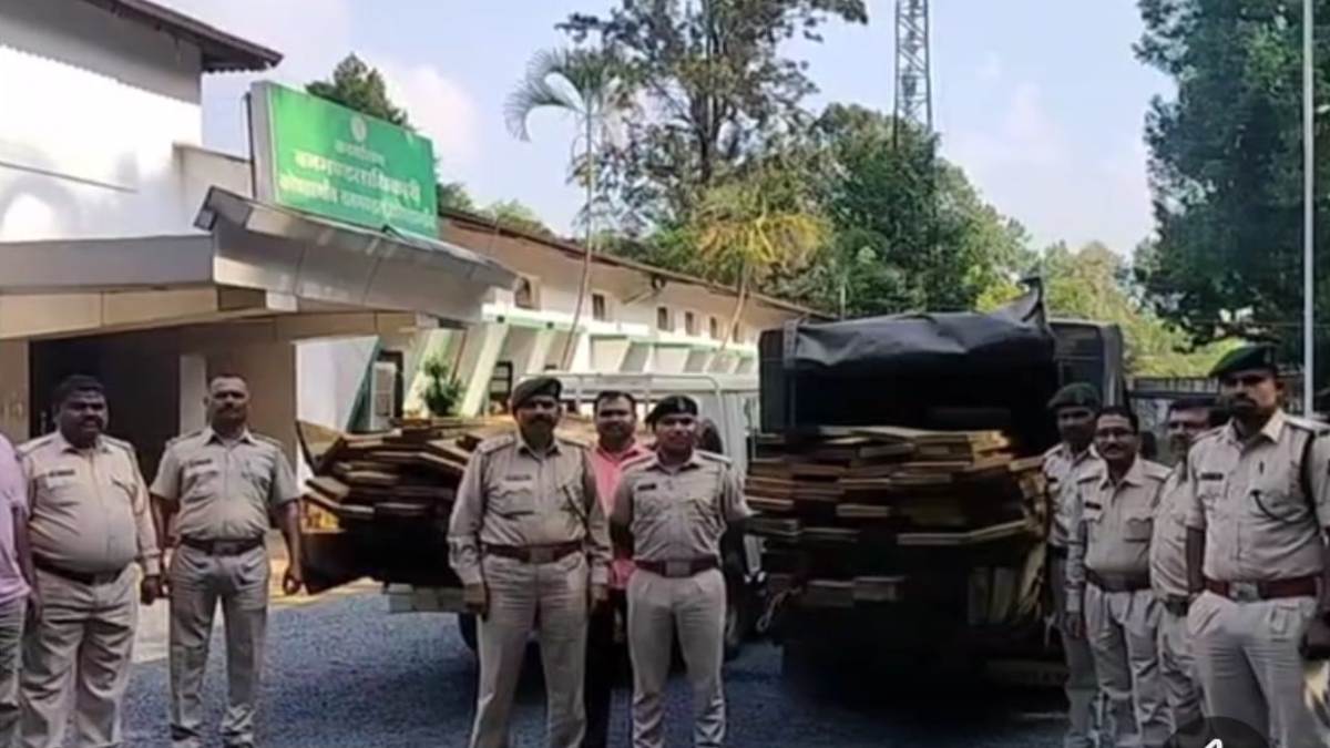 CG News : वन विभाग की बड़ी कार्रवाई, बड़ी मात्रा में अवैध इमारती लकड़ी जब्त, एक आरोपी गिरफ्तार