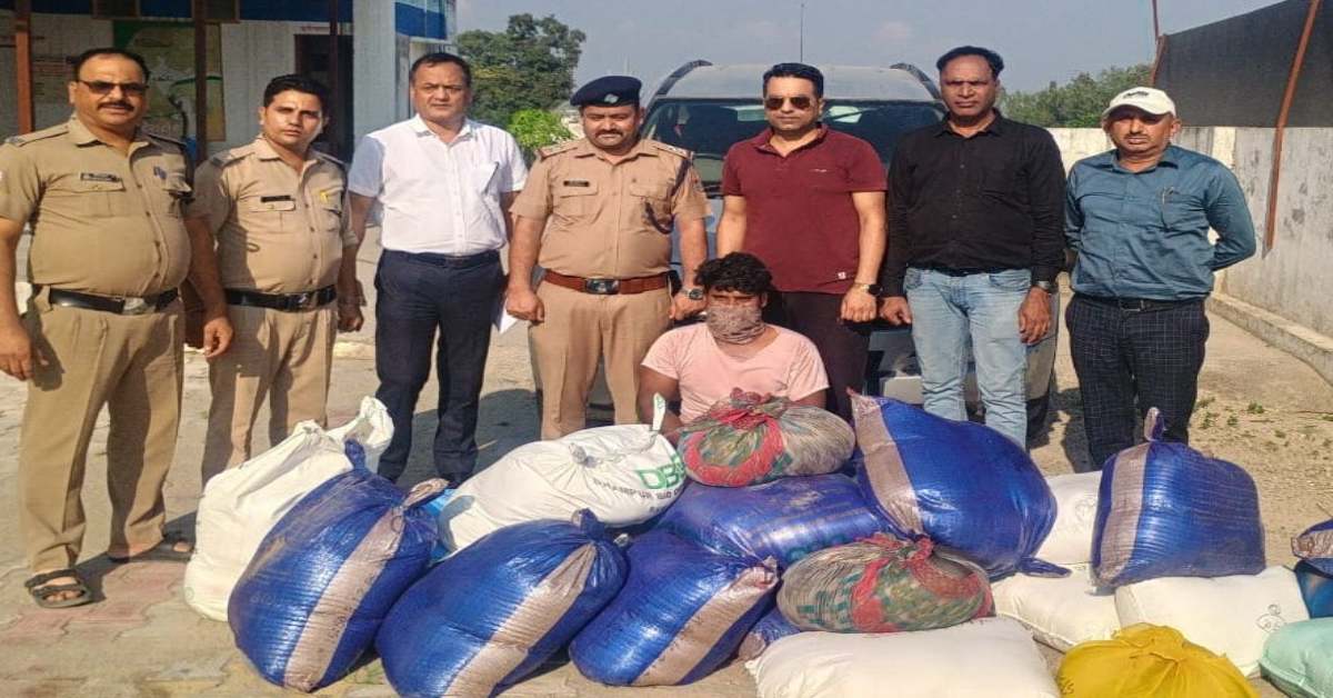 मिलावट पर जीरो टॉलरेंस : त्योहार के चलते बढ़ी मिठाइयों की डिमांड, मिलावटखोरों के खिलाफ अभियान तेज, 900 किलो मावा बरामद