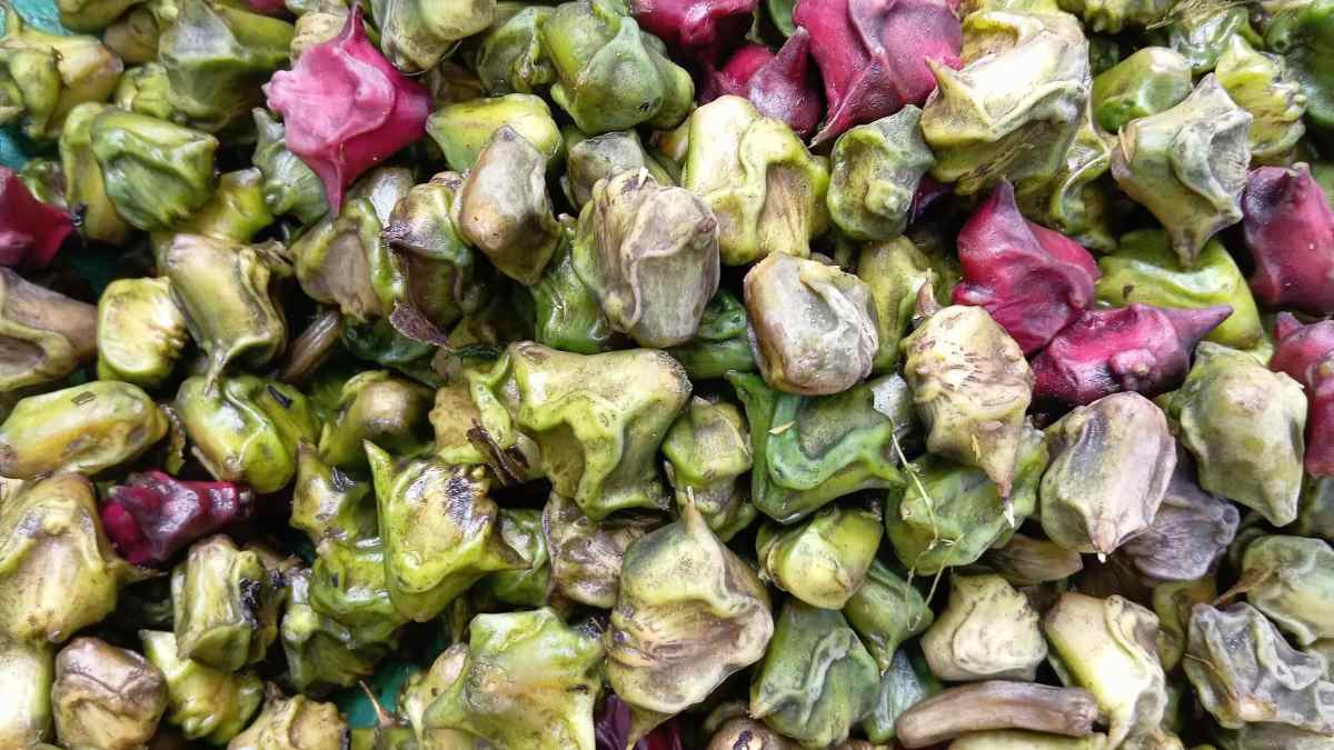 सावधान! अगर हैं ये 5 बीमारियां, तो भूलकर भी ना खाएं सिंघाड़ा