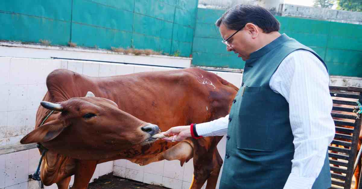 ‘गोवर्धन पूजा मनुष्यों और जानवरों के बीच के प्रेम का प्रतीक…’, CM धामी ने गौमाता की पूजा-अर्चना, जन कल्याण की कामना