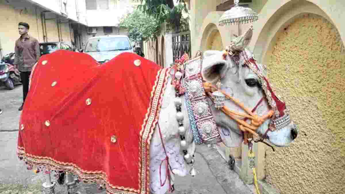 Diwali Special: गोवर्धन पूजा पर चांदी के जेवर से होता है गौरी का श्रृंगार, इसबार महंगाई के चलते नहीं बढ़े जेवर
