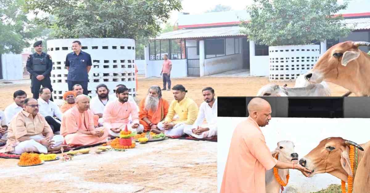 गोरखनाथ मंदिर की गोशाला में CM योगी ने की गोवर्धन पूजा, गोपूजन के बाद गायों को खिलाया गुड़-केला, कहा- भारत की समृद्धि का आधार रहा है गोवंश