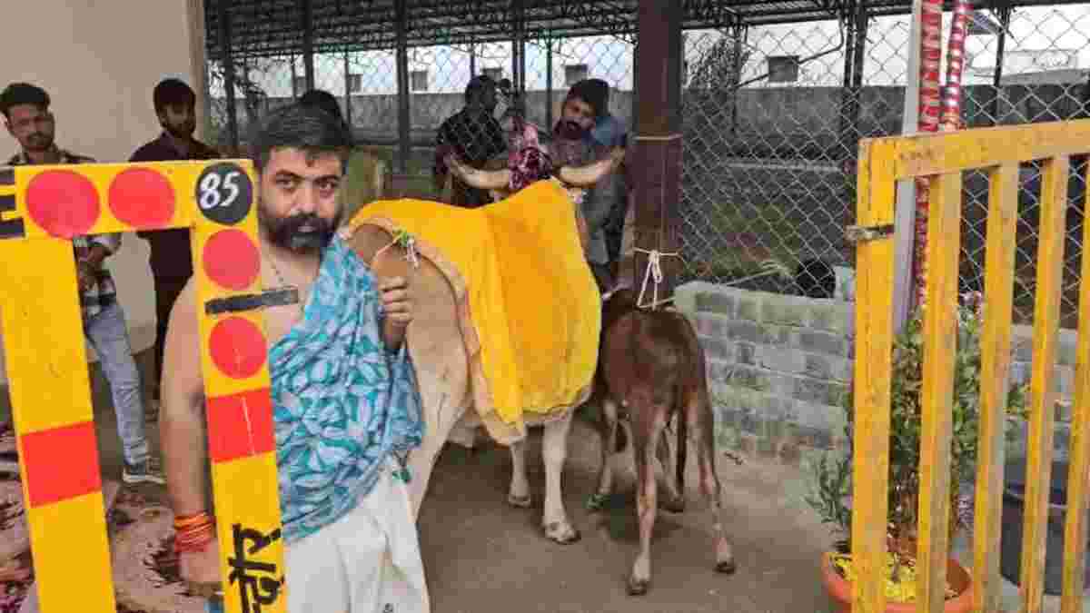 CM डॉ मोहन ने हातोद गौशाला में की गोवर्धन पूजाः बोले- सिर्फ पैसा नहीं, सेवा और श्रद्धा से ही गऊ माता का कल्याण संभव