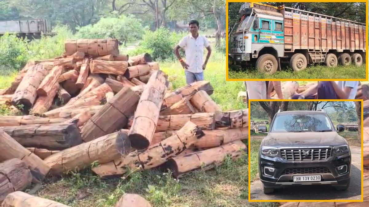 CG NEWS : अवैध लकड़ी तस्करी पर वन विभाग की बड़ी कार्रवाई, ट्रक और स्कॉर्पियो समेत 45 लाख का माल जब्त