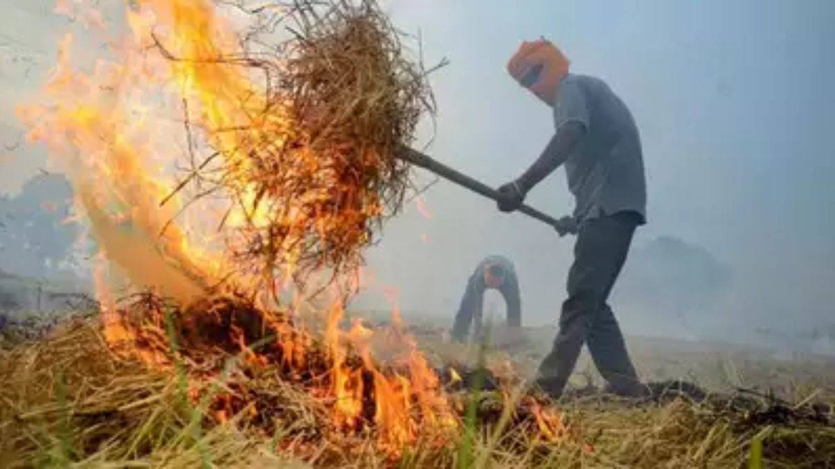 पंजाब में पराली जलाने का सिलसिला जारी, अमृतसर में 59 किसानों के खिलाफ FIR दर्ज