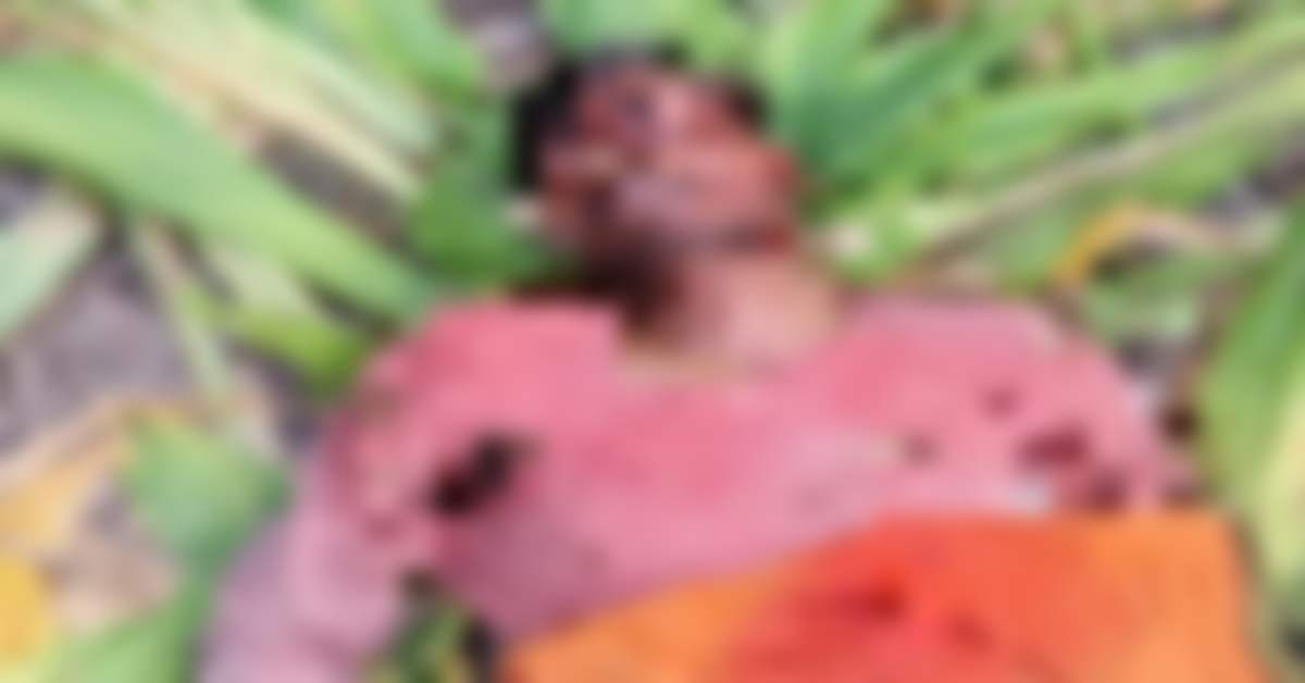 आदमखोर से जरा संभलकर रहना! खेत में काम कर रहे युवक का बाघ ने किया शिकार, खौफ में ग्रामीण, वन विभाग पर लापरवाही का आरोप