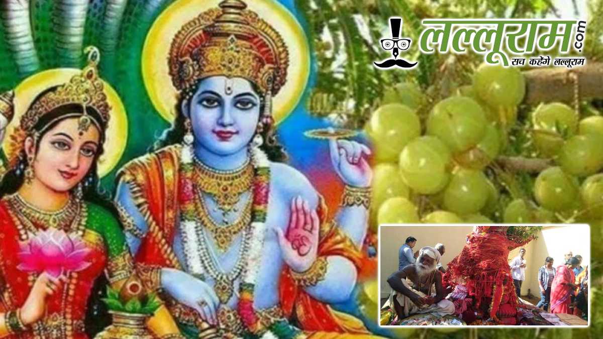 आंवला नवमी आज: दिव्य प्रेम और आध्यात्मिक मुक्ति का उत्सव