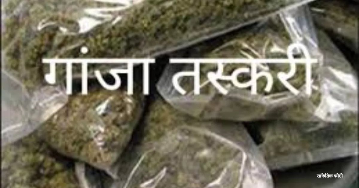 नशे पर नकेल : एंटी नारकोटिक्स टीम ने पकड़ी गांजे की बड़ी खेप, ओडिशा से लाकर यूपी में खपाते थे तस्कर, 7 आरोपी गिरफ्तार