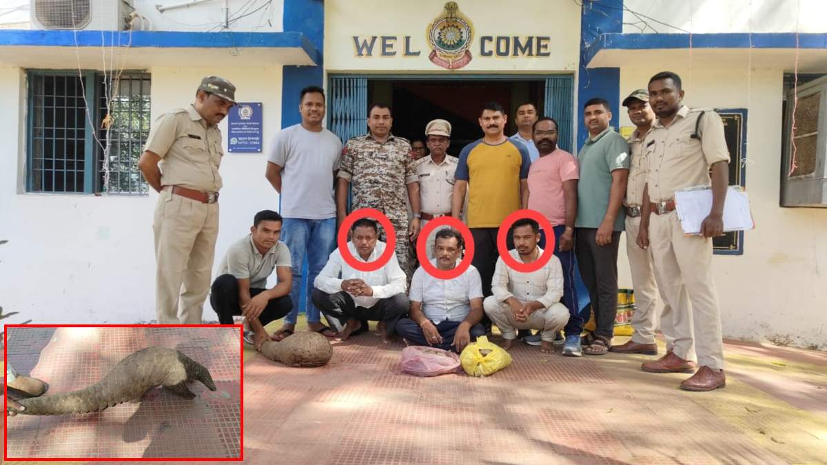 CG NEWS: जिंदा पैंगोलिन के साथ 3 अंतरराज्यीय तस्कर गिरफ्तार…