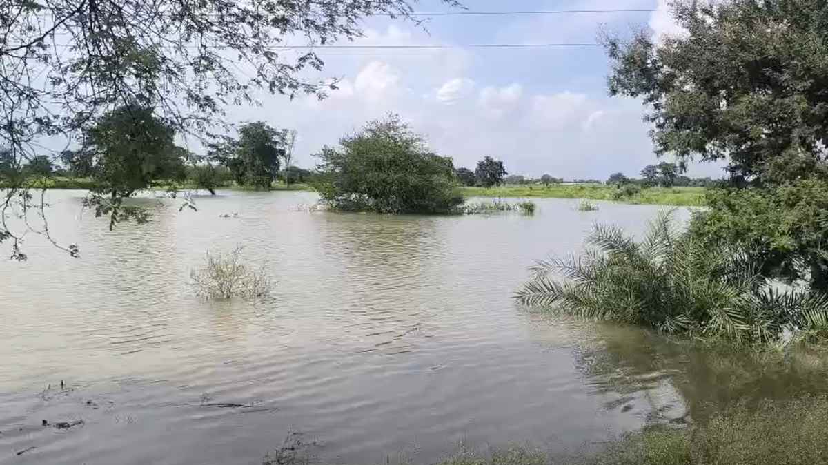 गंगरेल के 8 गेट खोलने से पानी में डूबी 900 एकड़ की फसल, किसानों ने किया चक्काजाम, कहा – पानी में बह गई सालभर की मेहनत, परिवार का गुजारा चलाना मुश्किल