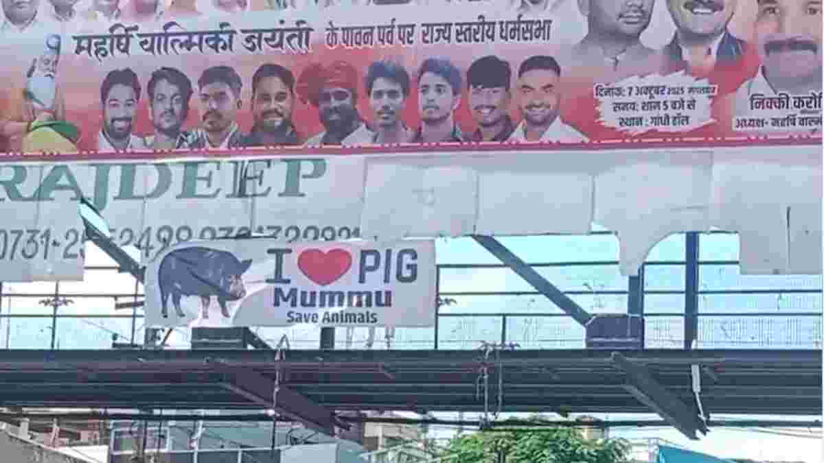 आई लव pig के पोस्टर पर सियासतः कांग्रेस बोली- सांप्रदायिक माहौल खराब किया जा रहा, हिंदू संगठन ने कहा- सबकी अपनी अपनी स्वतंत्रता