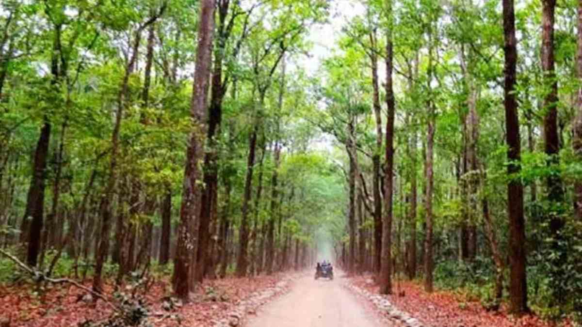 बस्तर के आसना में खुलेगा राज्य का पहला वन विज्ञान केंद्र, संचालन के लिए बनी सलाहकार समिति
