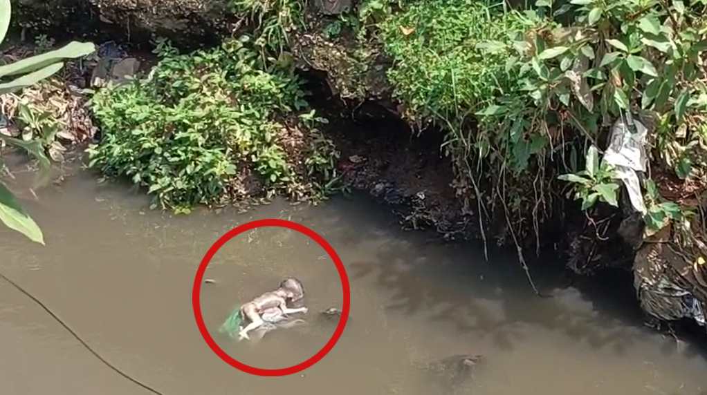 थाने से 200 मीटर दूर मिला नवजात शिशु का शव, आरोपी को पकड़ने CCTV फुटेज खंगाल रही पुलिस