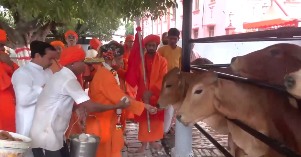 गोरक्षपीठाधीश्वर योगी आदित्यनाथ ने किया गोपूजन, गोमाता को खिलाए पकवान, लिया आशीर्वाद