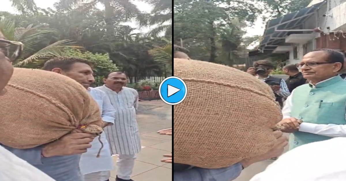 कांधे पर गेंहू की बोरी रख केंद्रीय कृषि मंत्री के बंगले पहुंचे PCC चीफ, किसानों के साथ किया जमकर हंगामा, फसल का दाम नहीं मिलने से नाराज