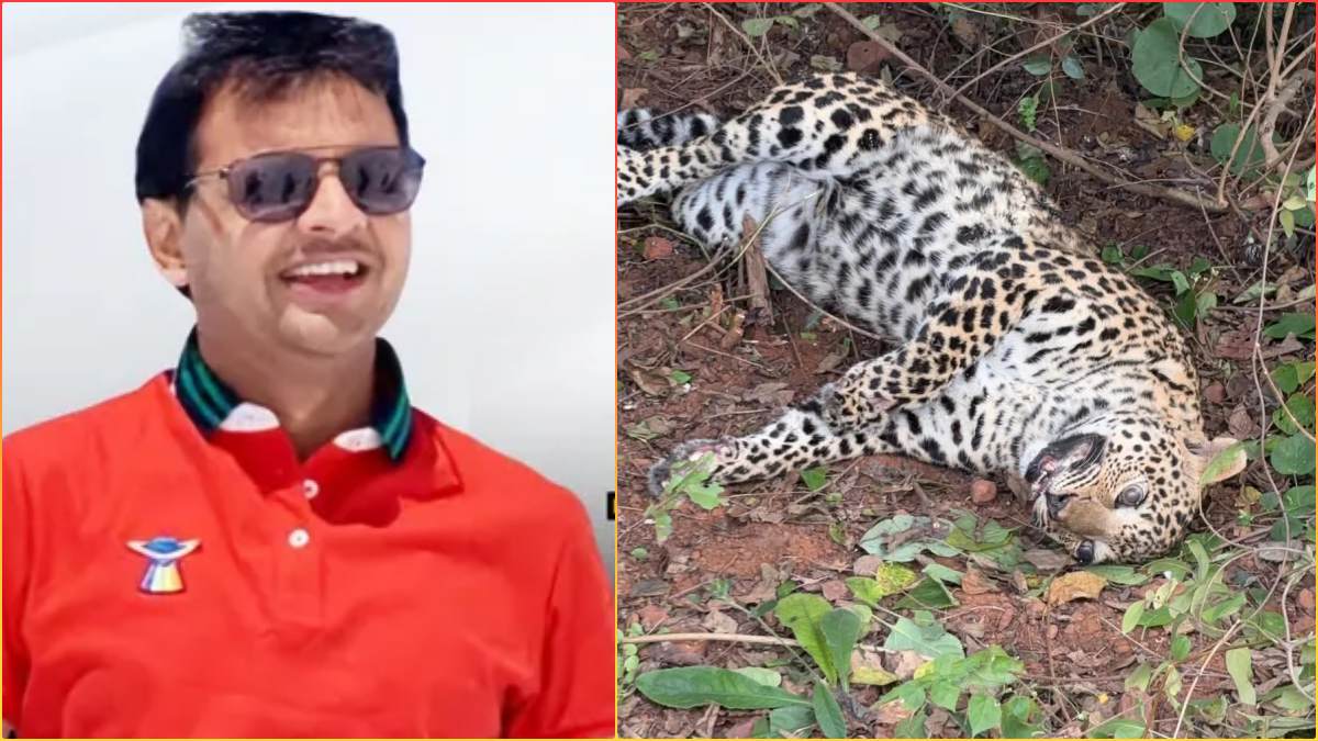 कारोबारी के ‘काले कांड’! महेंद्र गोयनका ने सरकार से फैक्ट्री के नाम पर ली जमीन, बनाया अय्याशी का अड्डा, मिली तेंदुए की लाश, शिकार की आशंका