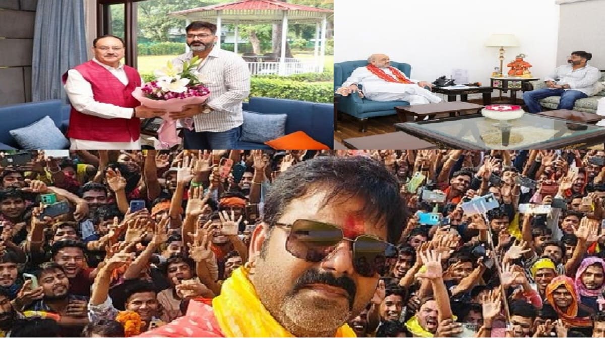 बड़हरा, आरा और काराकाट सीटों पर पवन सिंह की नजर, कौनसी विधानसभा में पहली पसंद, बीजेपी को भोजपुरी अभिनेता से क्या है उम्मीद?