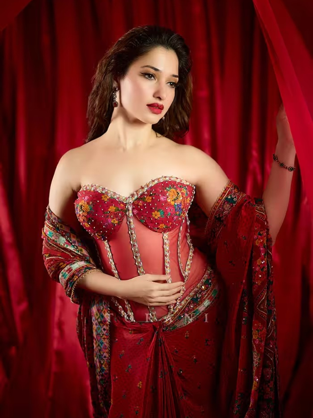 Corset Blouse Design: दिवाली पार्टी में लगना है हीरोइन तो साड़ी के साथ पहने ये कोर्सेट ब्लाउज