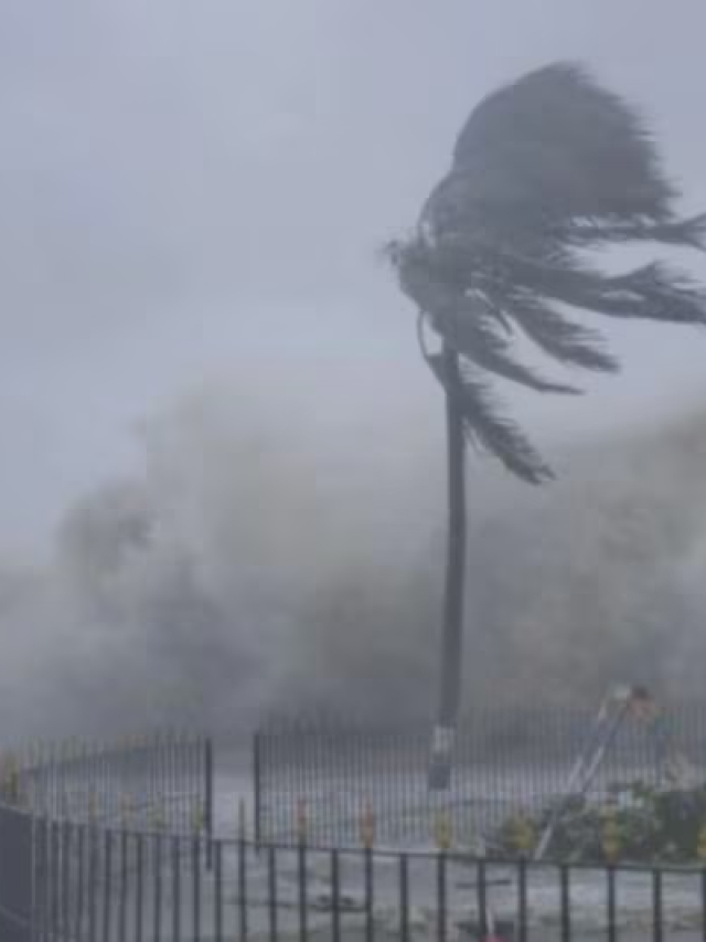 चक्रवात ‘मोंथा’ ने मचाई तबाही, ओडिशा समेत कई राज्यों में हो रही ताबड़तेड़ बारिश