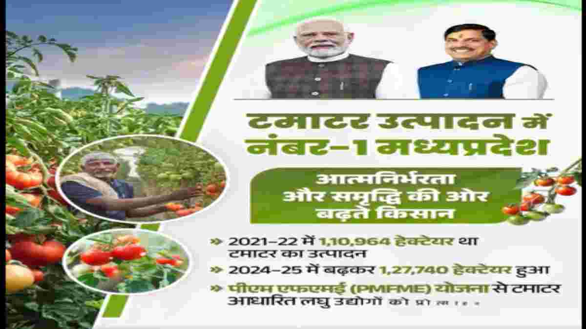 टमाटर उत्पादन में देश में नंबर-1 मध्यप्रदेश: सीएम डॉ मोहन बोले- सरकार की प्रोत्साहन योजना से किसानों को मिला संबल