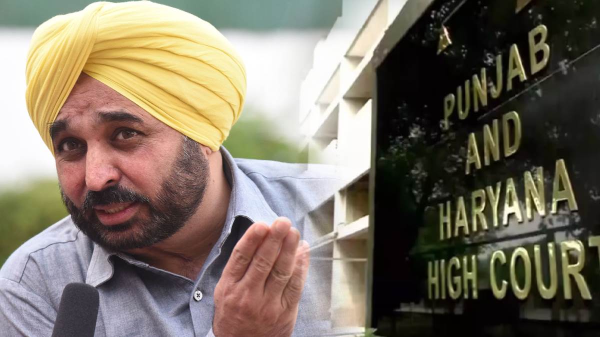 CM भगवंत मान पंजाब विश्वविद्यालय को लेकर जायेंगे हाईकोर्ट, जानिए क्यों