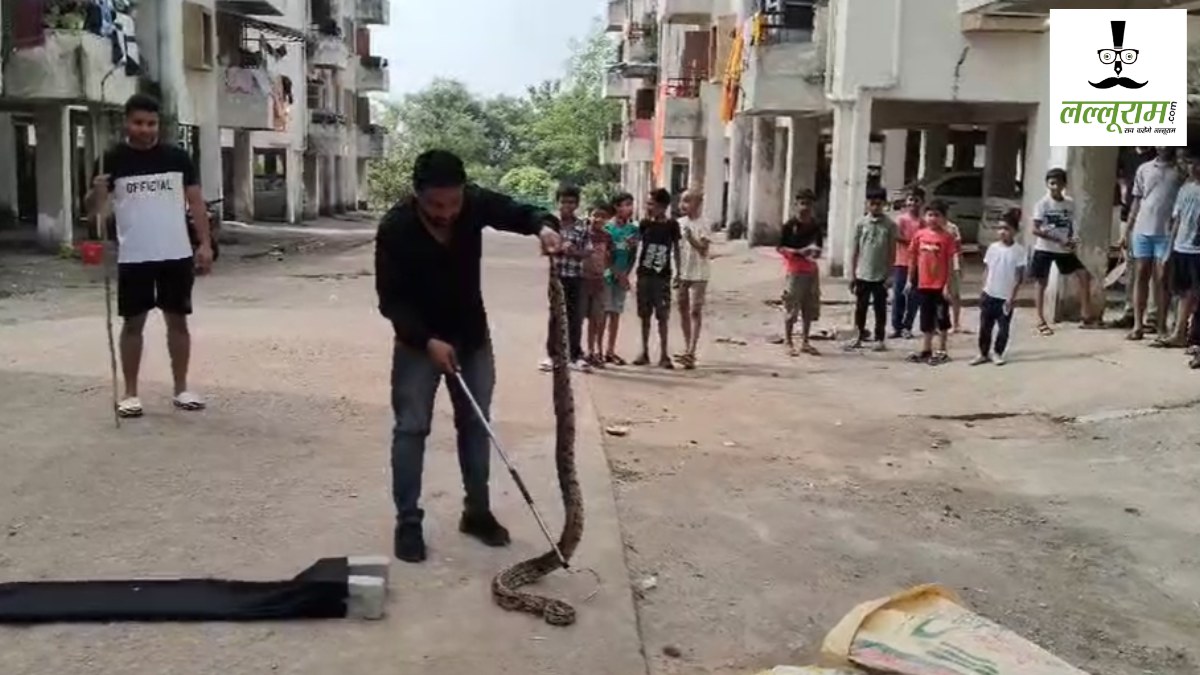 CG News : पुलिस कॉलोनी में मिला 7 फीट लंबा अजगर, मचा हड़कंप, देखें VIDEO…
