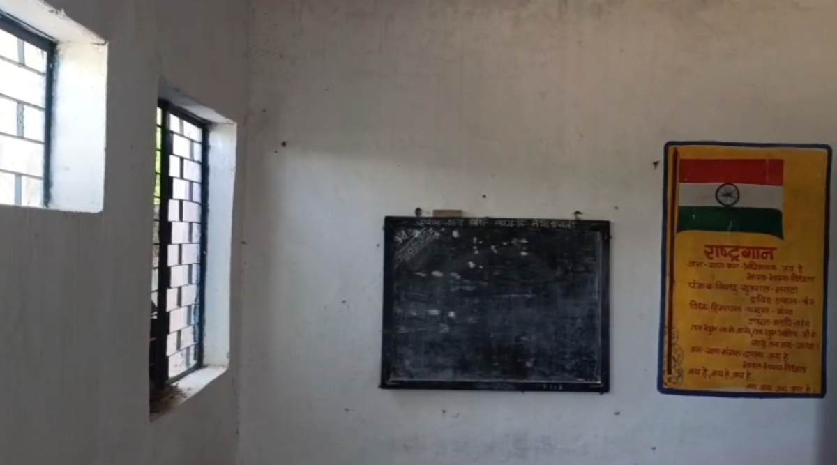 मधुमक्खियों का स्कूल में आतंक: बाहर पढ़ने पर मजबूर हुए छात्र, धुएं की मदद से भागने में जुटे शिक्षक