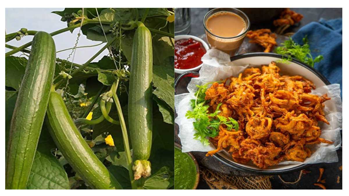 ठंड और बारिश में कुछ चटपटा खाने का मन है? ट्राय करें गिलकी के कुरकुरे पकौड़े