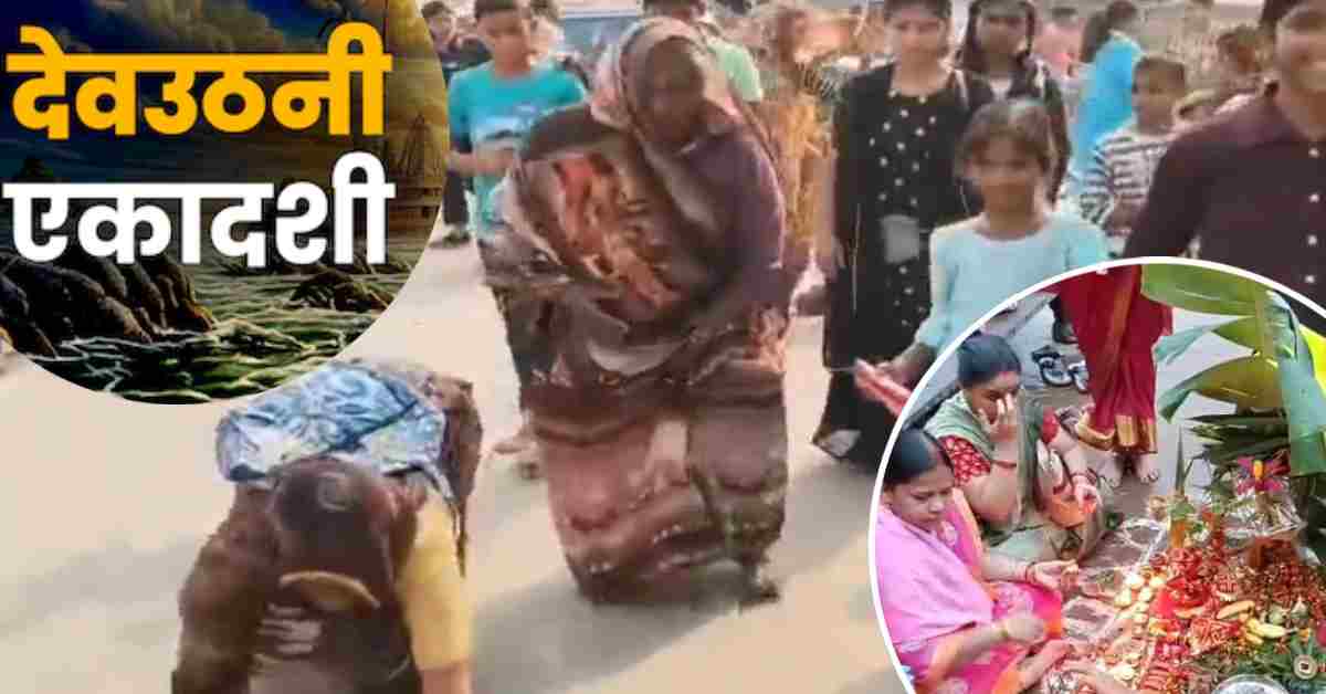 प्रबोधिनी एकादशी: वृंदावन में उमड़ा आस्था का सैलाब, बांके बिहारी के जयकारों से गूंजी नगरी