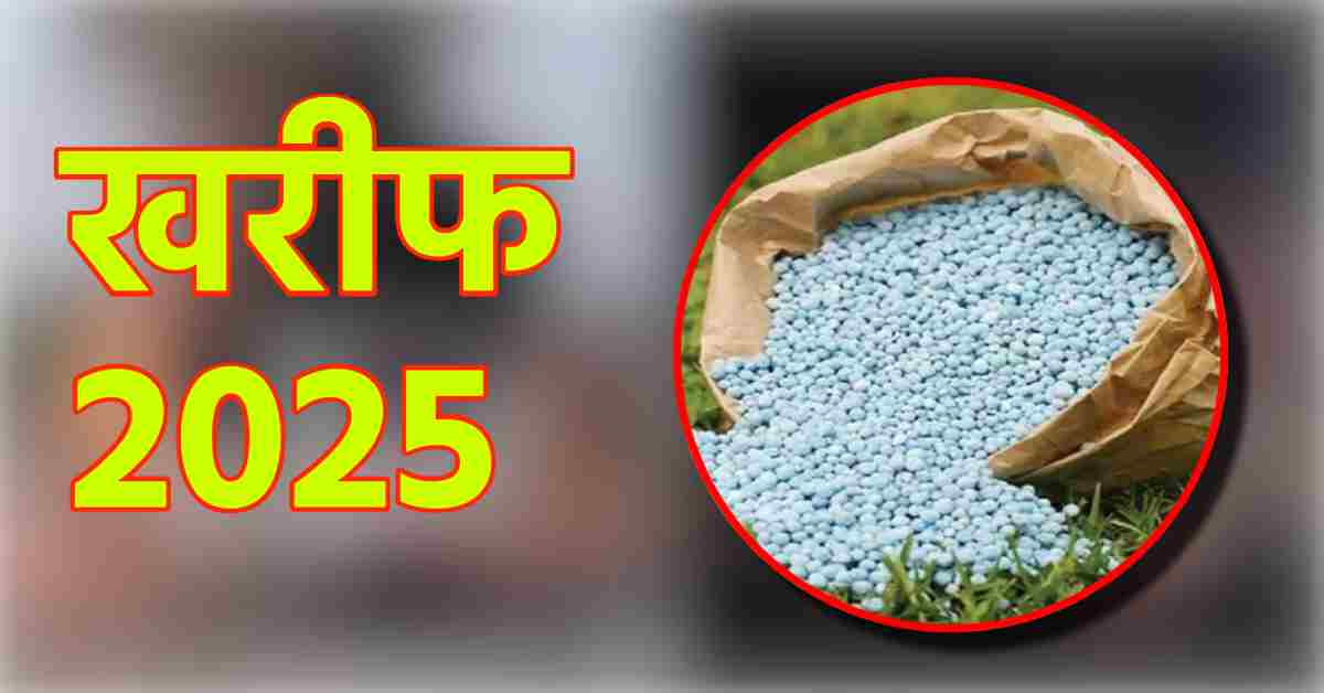 खरीफ 2025: किसानों के लिए यूरिया की पर्याप्त उपलब्धता सुनिश्चित, उर्वरक विभाग की समयबद्ध योजना और समन्वय से संभव हुआ कार्य